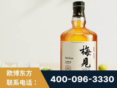 东莞-梅见青梅酒